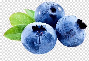 Blueberry fruit, Blueberry Skin care Hyaluronic acid Eye, Blueberry fruit transparent background PNG clipart