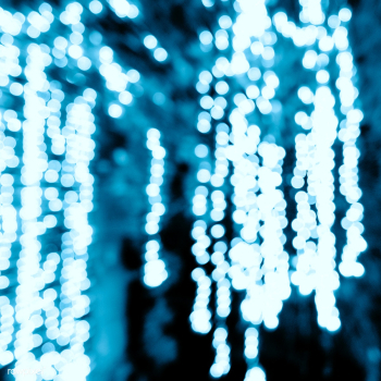 Blurred Christmas lights | Free stock photo - 67987 Blurred Christmas lights | Free stock photo - 67987