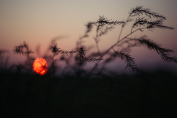 Blurry sunset 2 Blurry sunset 2
