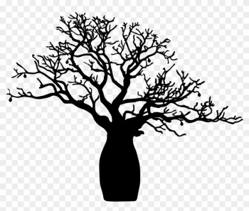 Boab Tree - Boab Tree Black And White Boab Tree - Boab Tree Black And White