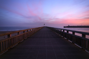 Board Walk Scenery Board Walk Scenery