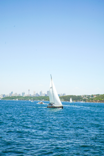 Boat Sailing in Ocean Boat Sailing in Ocean