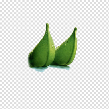 Boat, Sailing leaves transparent background PNG clipart Boat, Sailing leaves transparent background PNG clipart