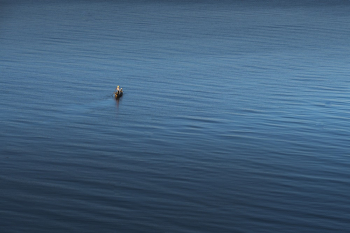 Boat Sailing On Body Of Water Boat Sailing On Body Of Water