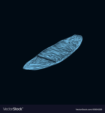 boat surfing ocean artwork design