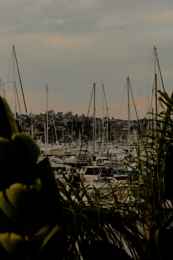 Boats Boats