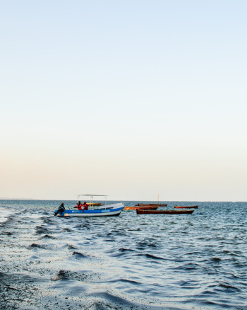 Boats Sailing Boats Sailing
