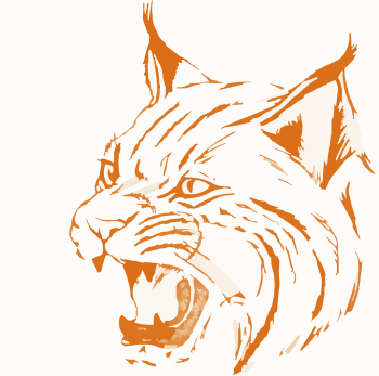 Bobcat Wildlife Feline - Free vector graphic on Pixabay