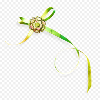 Body Jewellery, Line, Jewellery, Green, Fashion Accessory PNG
