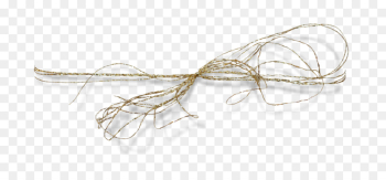 Body Jewellery, Line, Jewellery, Wire PNG Body Jewellery, Line, Jewellery, Wire PNG