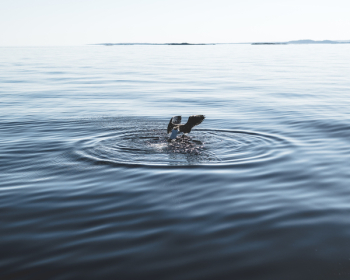 Body of Water Photography Body of Water Photography
