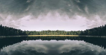 body of water surrounded by trees under the cloudy sky body of water surrounded by trees under the cloudy sky