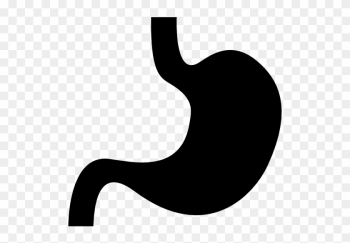 Body Parts, Shape, Organs, Stomach, Silhouette, Organ, - Stomach Icon