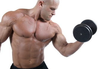  Bodybuilder exercising-isolated on white background
