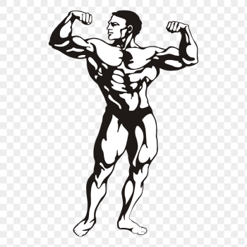 Bodybuilder posing png sticker, sport | Free PNG - rawpixel Bodybuilder posing png sticker, sport | Free PNG - rawpixel