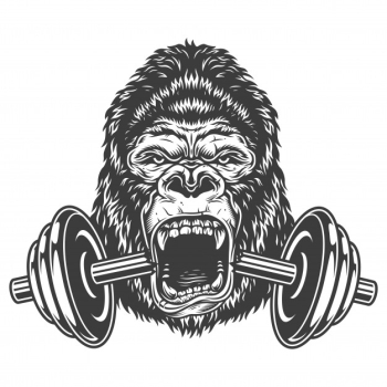 Bodybuilding concept with gorilla Free Vector Bodybuilding concept with gorilla Free Vector