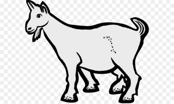 Boer Goat, Russian White Goat, Sheep, Mammal, Vertebrate PNG Boer Goat, Russian White Goat, Sheep, Mammal, Vertebrate PNG