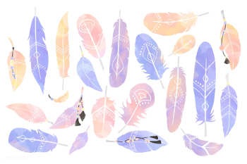 Bohemian feather set | Free stock vector - 405500 Bohemian feather set | Free stock vector - 405500
