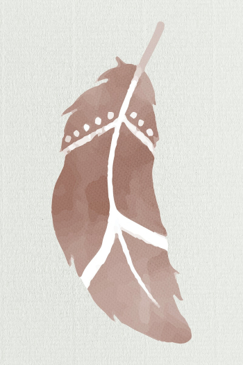 Boho brown feather psd earth tone Boho brown feather psd earth tone