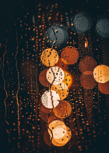 Bokeh Bokeh