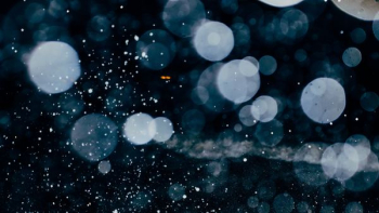 bokeh effects wallpaper bokeh effects wallpaper