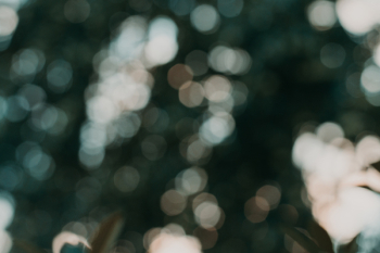 Bokeh Photography Bokeh Photography