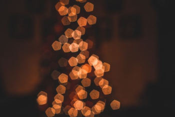bokeh photography bokeh photography