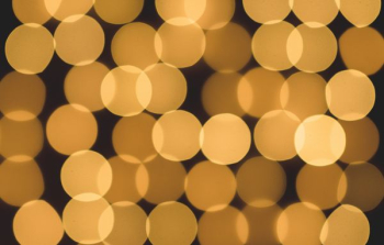 bokeh photography bokeh photography