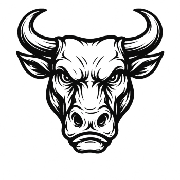 Bold Bull Head Illustration Bold Bull Head Illustration