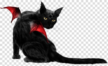 Bombay cat Black cat Maine Coon Domestic short-haired cat Whiskers, kitten transparent background PNG clipart