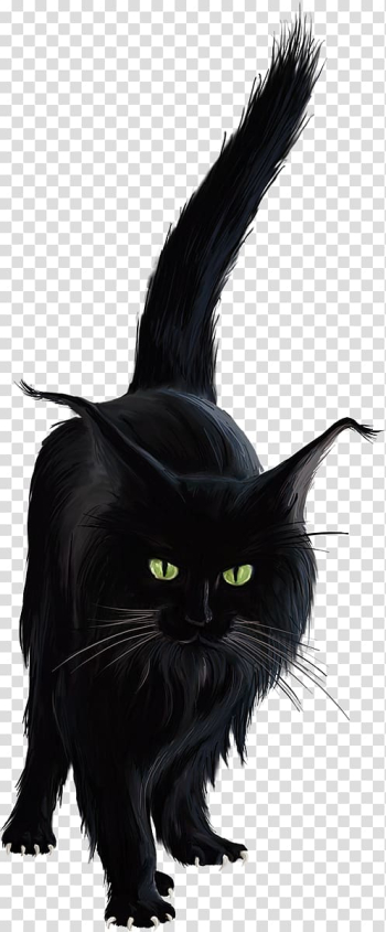 Bombay cat Black cat Norwegian Forest cat Kitten , kitten transparent background PNG clipart