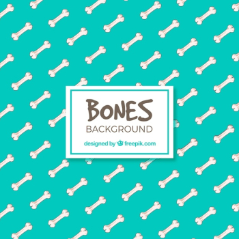 Bones background Bones background