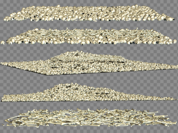 Bones Picture Bones Picture