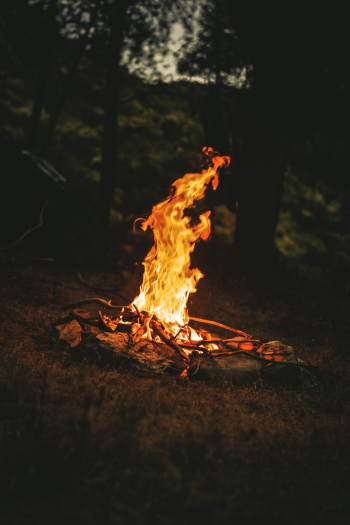 Bonfire Bonfire