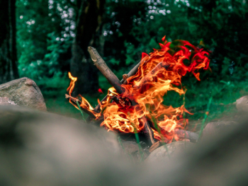 Bonfire Burning Bonfire Burning