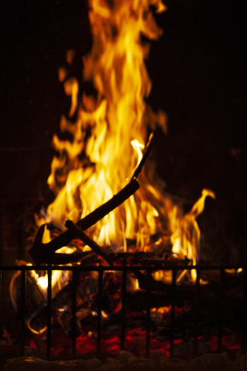 Bonfire Close-up Photo Bonfire Close-up Photo