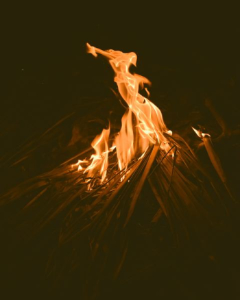 bonfire during night bonfire during night