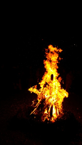 Bonfire during Nighttime Bonfire during Nighttime