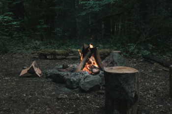bonfire in forest bonfire in forest