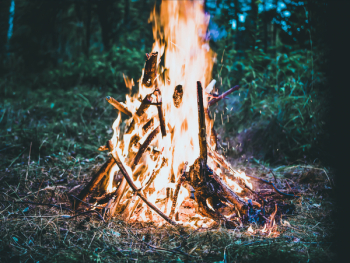 Bonfire on Forest Screengrab Bonfire on Forest Screengrab