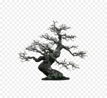 Bonsai Display resolution 1080p Wallpaper - Light green minimalist tree decoration pattern 