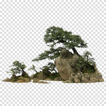 Bonsai 庭石 Rock Stone, rock transparent background PNG clipart Bonsai 庭石 Rock Stone, rock transparent background PNG clipart