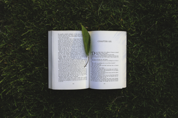 Book: chapter six Book: chapter six