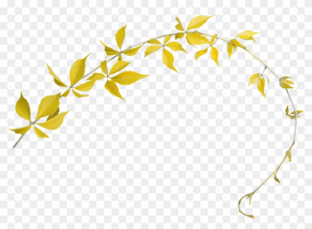 Border Flowers Photography Clip Art - Border Flowers Photography Clip Art