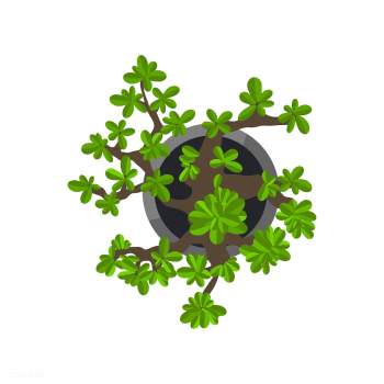 Botanic arrangement beautiful | Free stock vector - 396609 Botanic arrangement beautiful | Free stock vector - 396609
