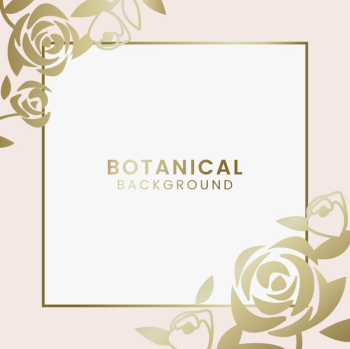 Botanical floral illustration Botanical floral illustration