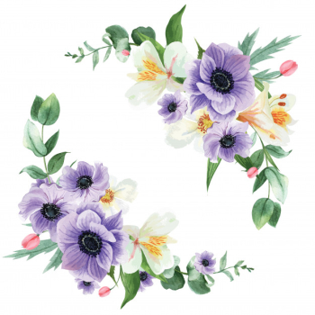 Botanical flower watercolor bouquet elegance blooming Free Vector