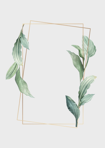 Botanical frame Free Vector