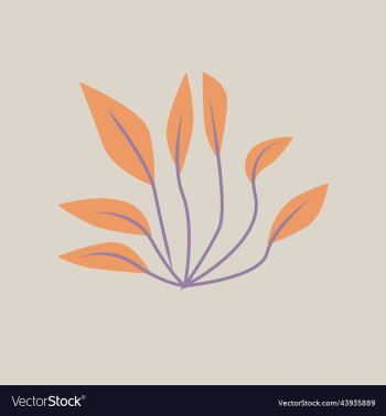 botanical natural colorful plant botanical natural colorful plant