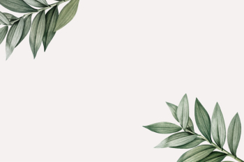 Botanical themed design space Botanical themed design space